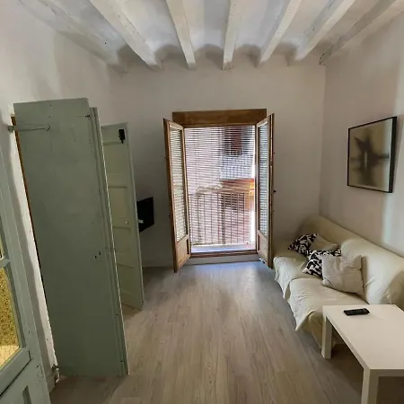 Cal Mestre- Olot Exterior photo