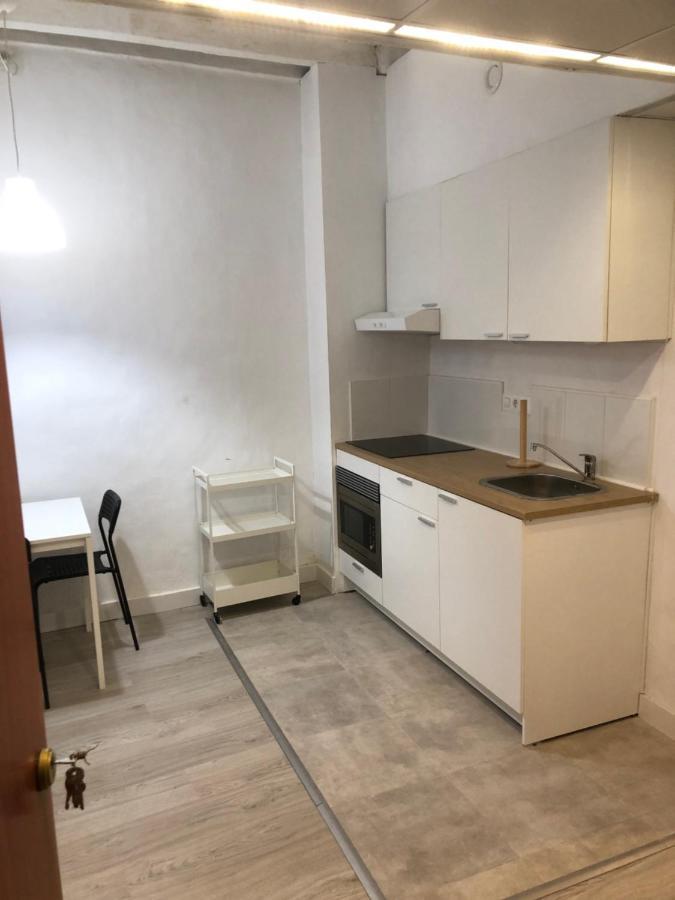 Apartment Cal Mestre- Olot