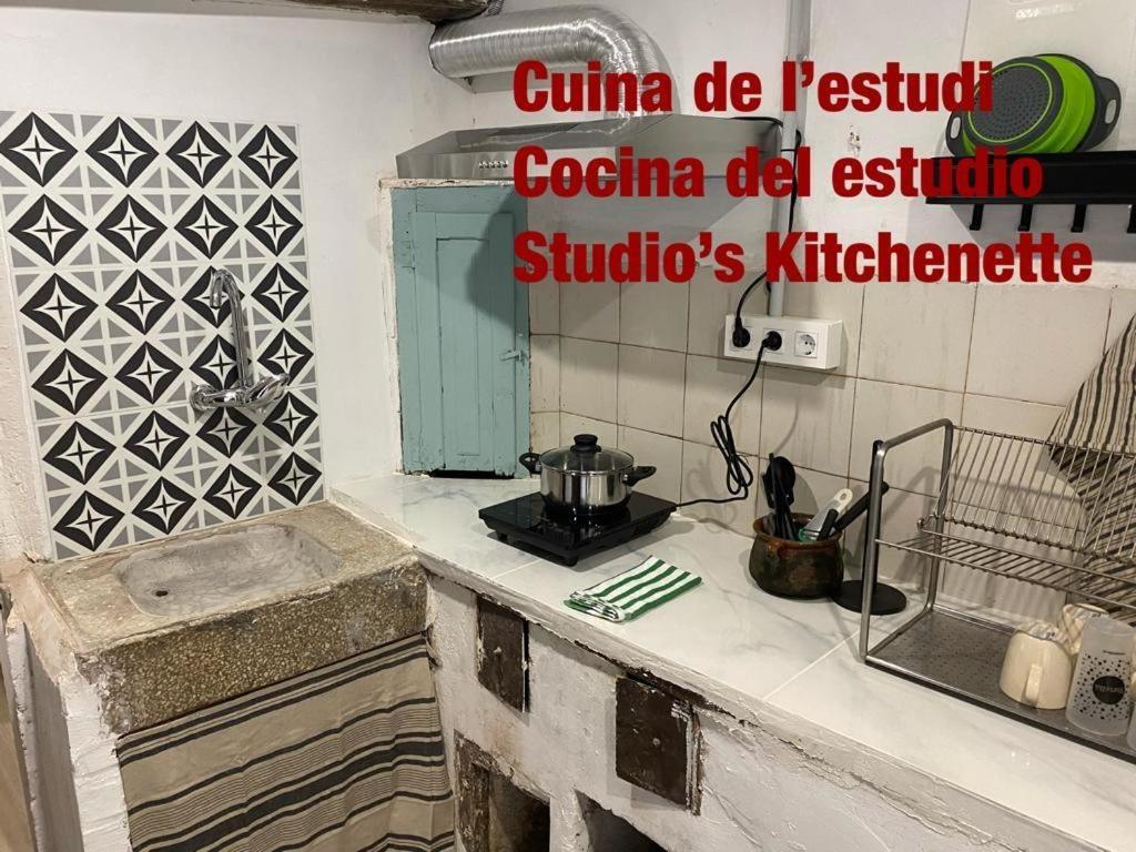 Cal Mestre- Apartment