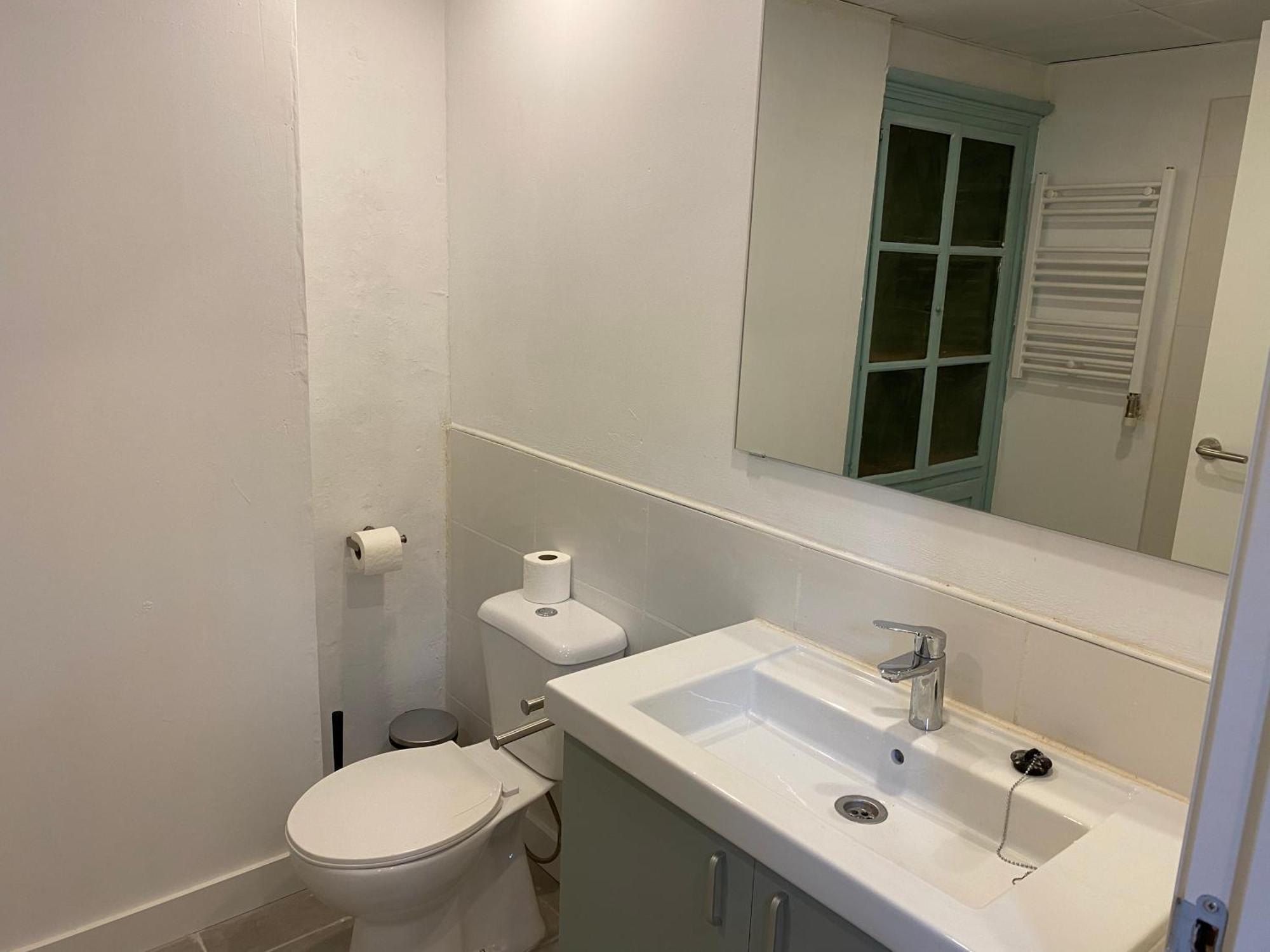 Apartment Cal Mestre- Olot
